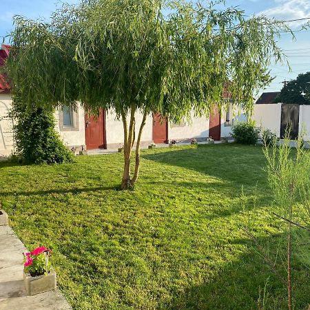 Casa David Lägenhet Corbu Exteriör bild