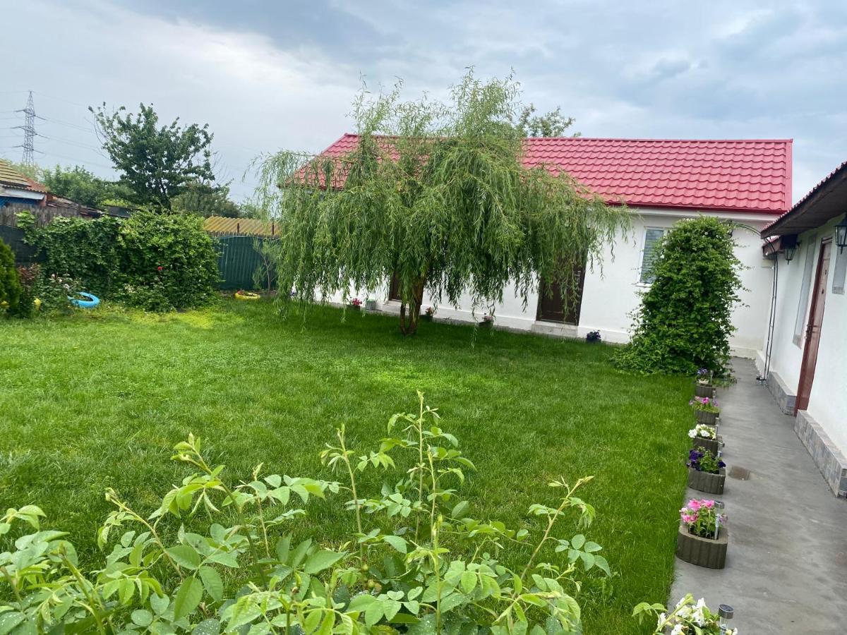 Casa David Lägenhet Corbu Exteriör bild