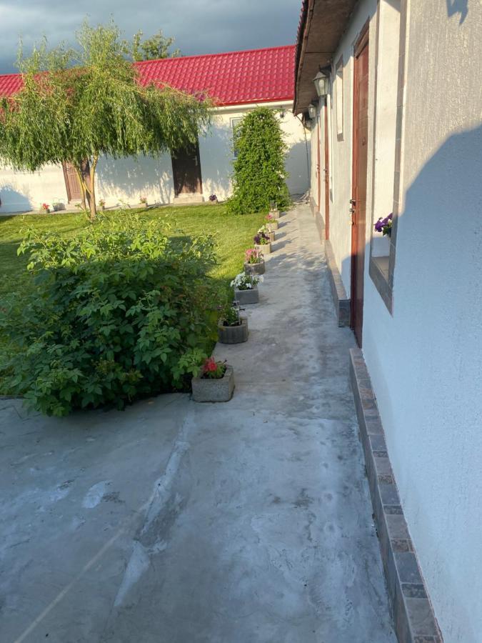 Casa David Lägenhet Corbu Exteriör bild