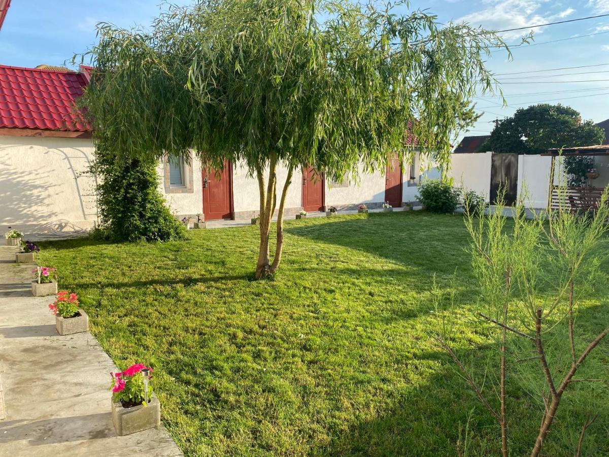 Casa David Lägenhet Corbu Exteriör bild